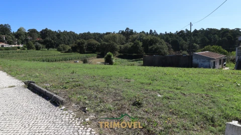 Terreno para Venda em O. Azeméis, Riba-Ul, Ul, Macinhata Seixa, Madail