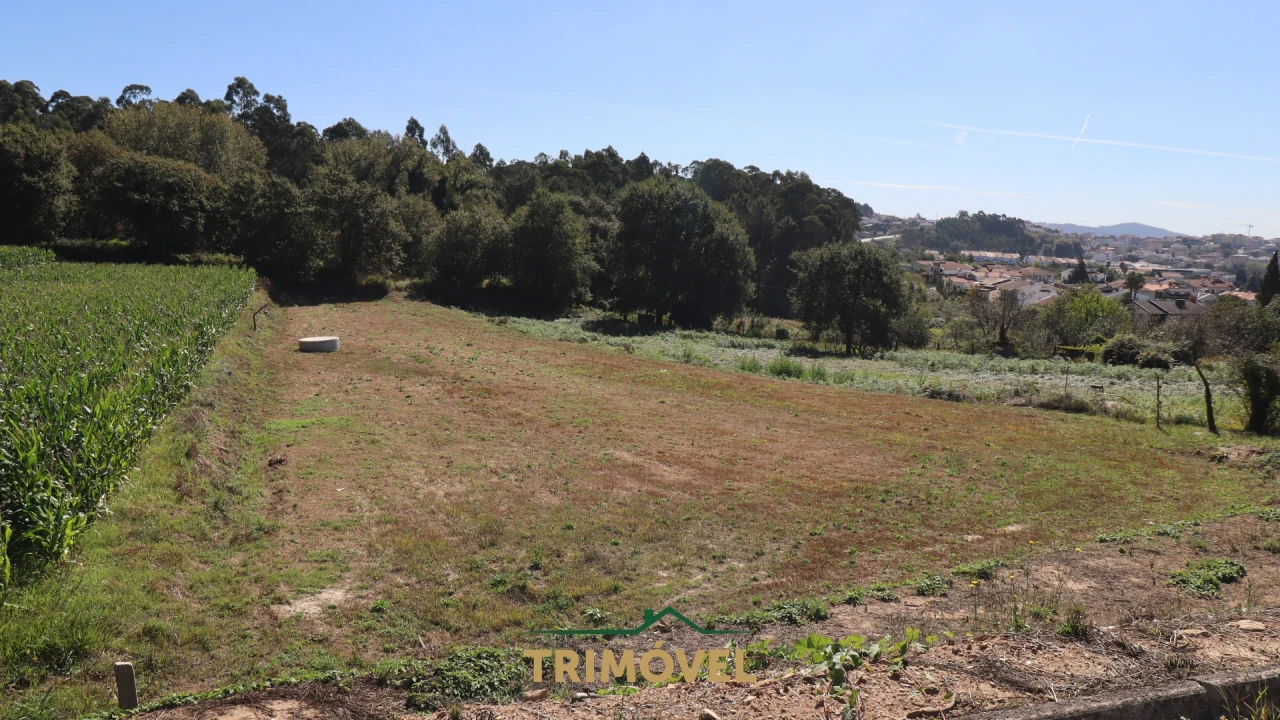 Terreno para Venda em O. Azeméis, Riba-Ul, Ul, Macinhata Seixa, Madail Foto 1