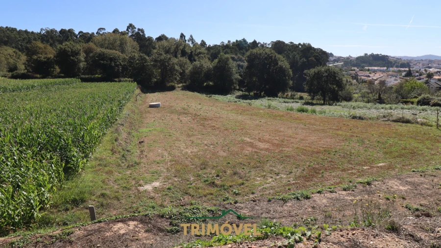 Terreno para Venda em O. Azeméis, Riba-Ul, Ul, Macinhata Seixa, Madail Foto 3