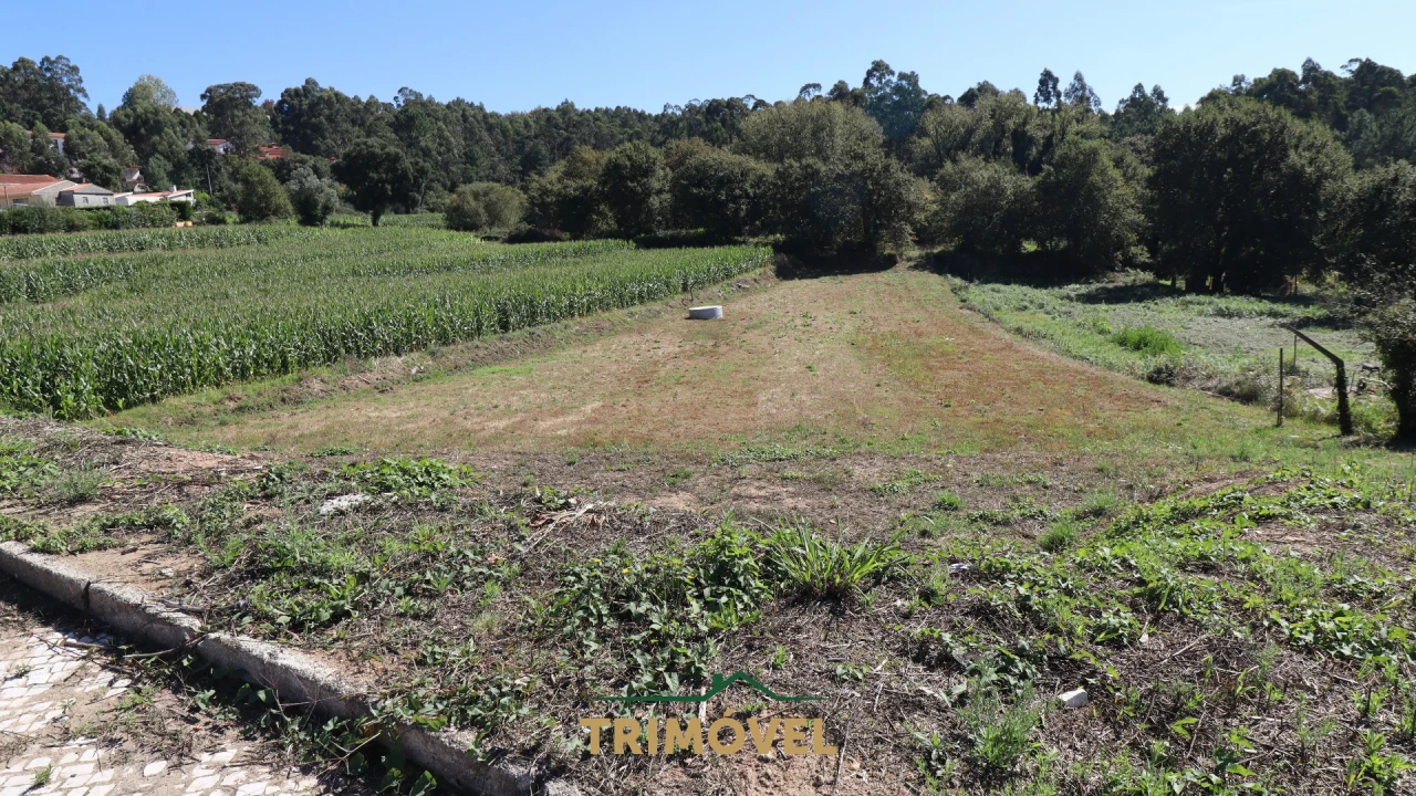 Terreno para Venda em O. Azeméis, Riba-Ul, Ul, Macinhata Seixa, Madail Foto 2