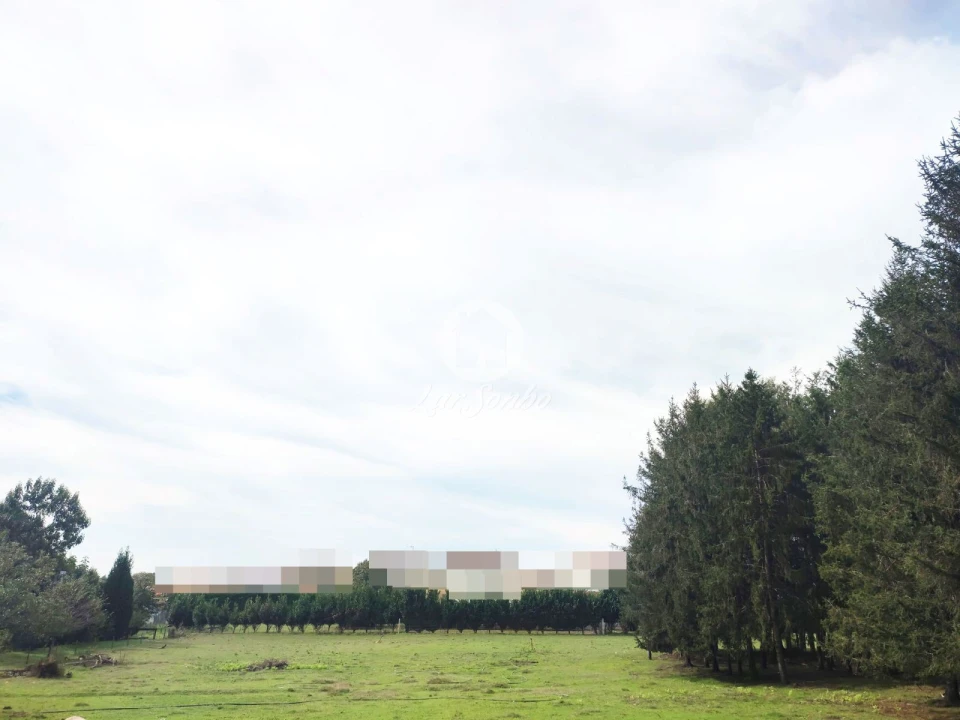 Terreno para Venda em Malta e Canidelo Foto 2