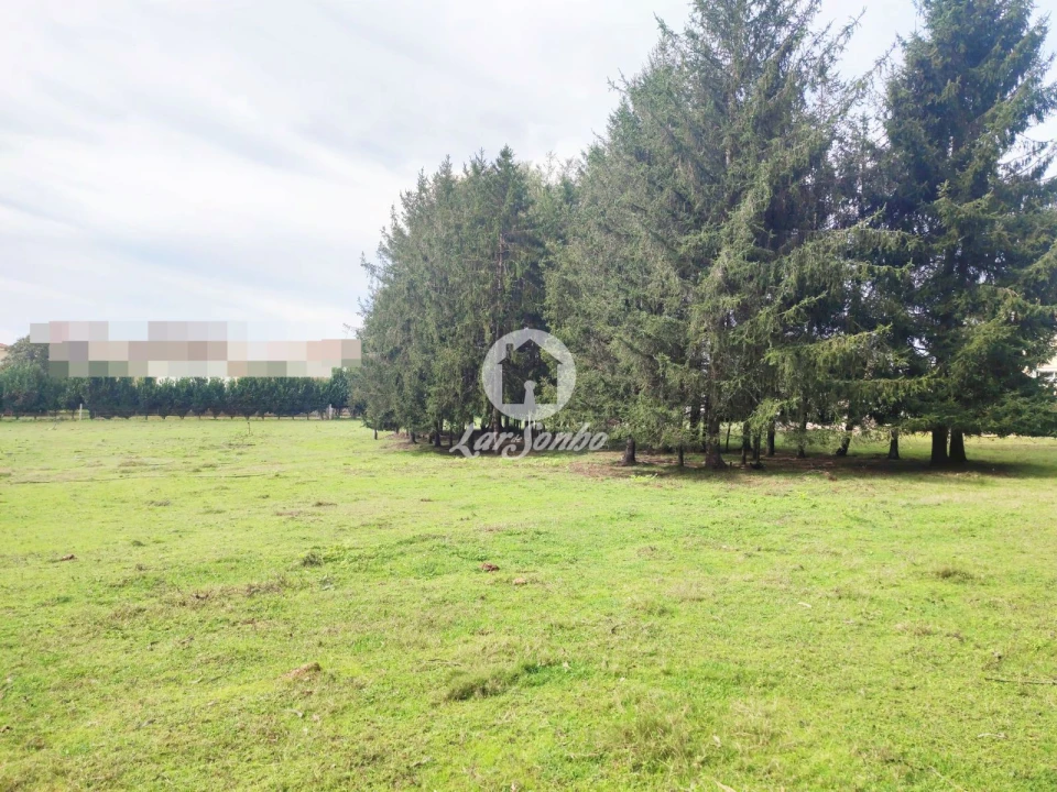 Terreno para Venda em Malta e Canidelo Foto 5