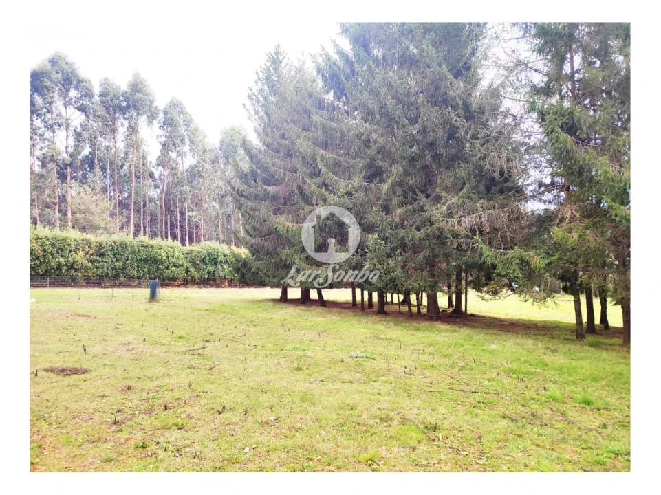Terreno para Venda em Malta e Canidelo Foto 8