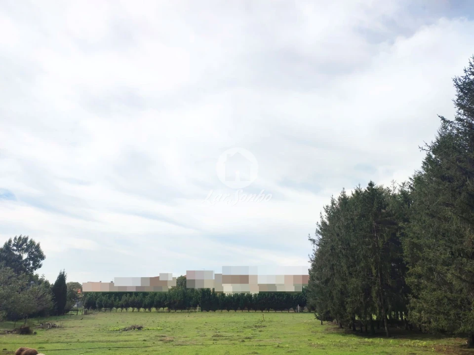 Terreno para Venda em Malta e Canidelo Foto 9