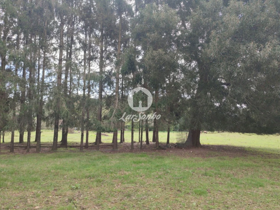 Terreno para Venda em Malta e Canidelo Foto 10