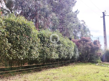 Terreno para Venda em Malta e Canidelo