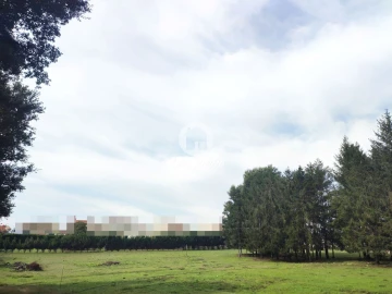 Terreno para Venda em Malta e Canidelo
