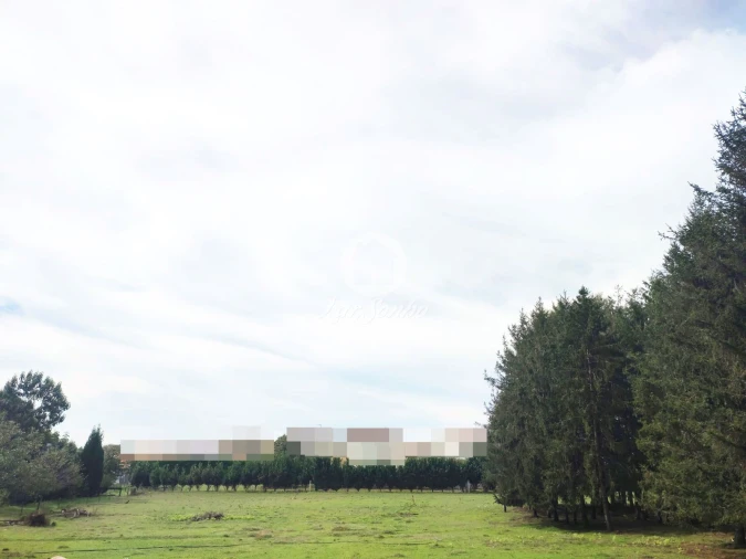 Terreno para Venda em Malta e Canidelo Foto 2