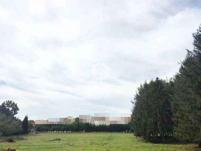 Terreno para Venda em Malta e Canidelo Foto 9