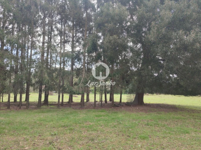 Terreno para Venda em Malta e Canidelo Foto 10