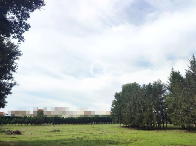 Terreno para Venda em Malta e Canidelo Foto 12