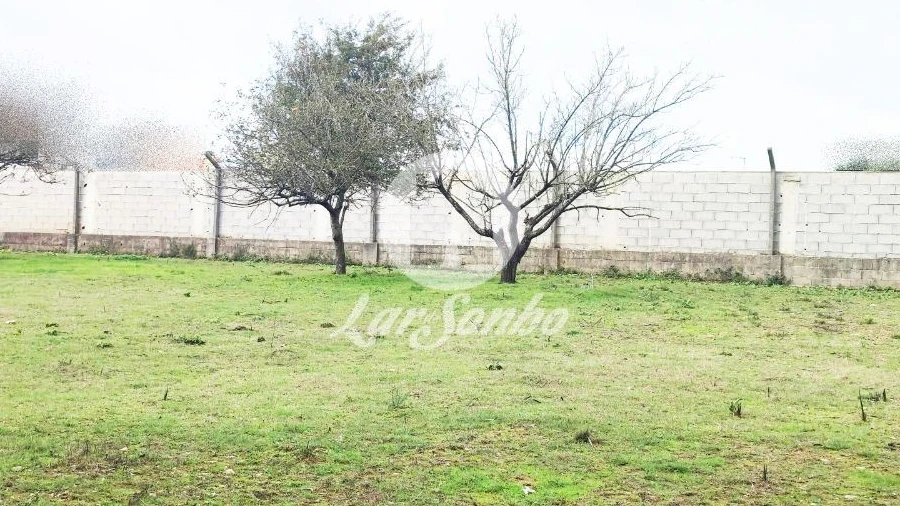 Terreno para Venda em Malta e Canidelo