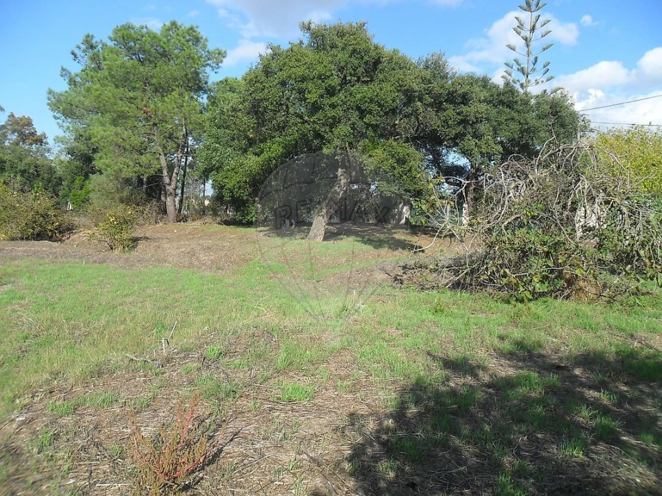 Terreno para Venda em Santo Antonio da Charneca Foto 5