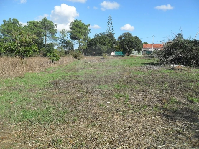Terreno para Venda em Santo Antonio da Charneca Foto 9