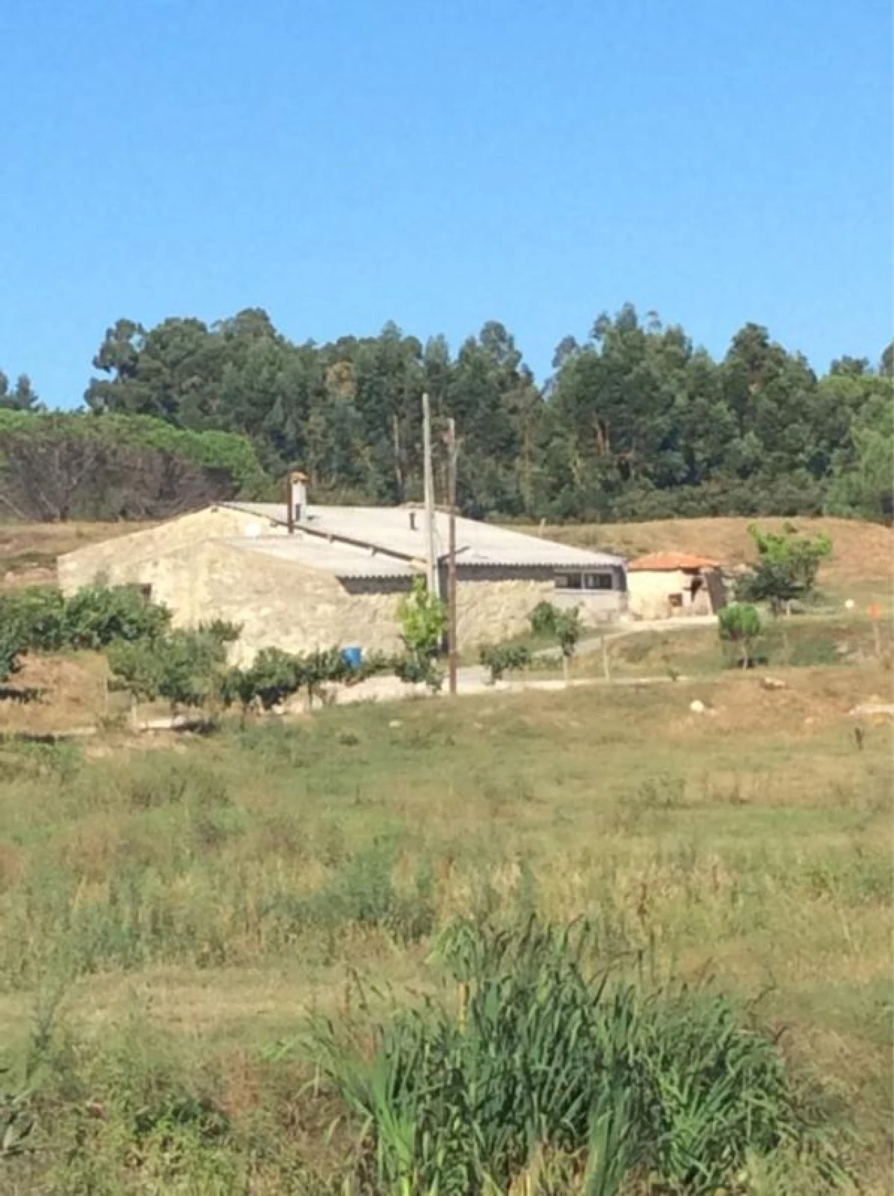 Quinta T0 para Venda em Mangualde, Mesquitela e Cunha Alta Foto 4