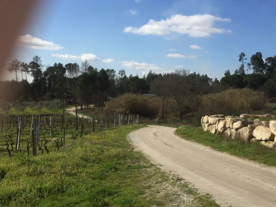 Quinta T0 para Venda em Mangualde, Mesquitela e Cunha Alta Foto 8