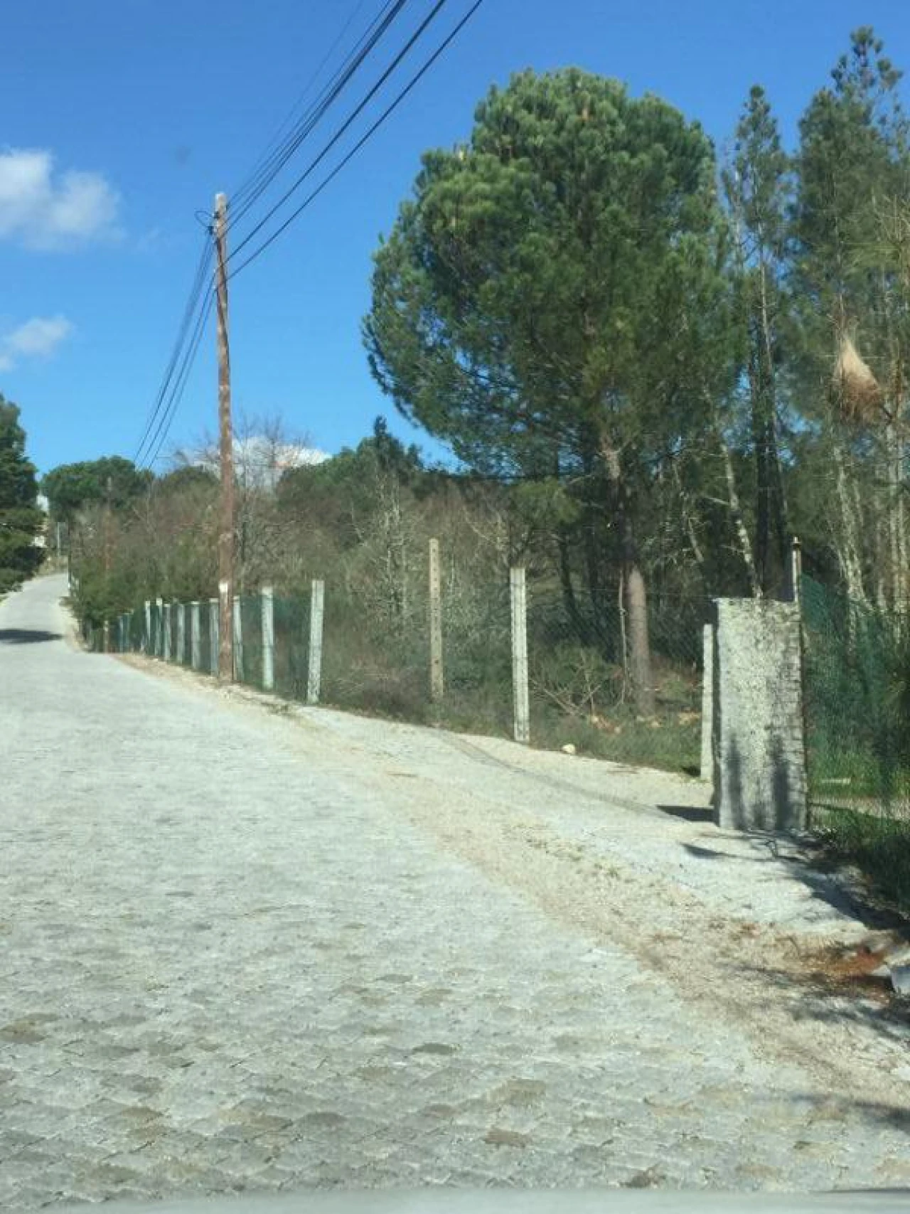 Quinta T0 para Venda em Mangualde, Mesquitela e Cunha Alta Foto 28