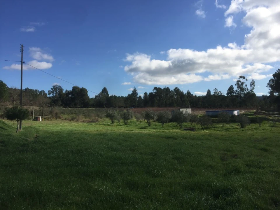 Quinta T0 para Venda em Mangualde, Mesquitela e Cunha Alta Foto 12