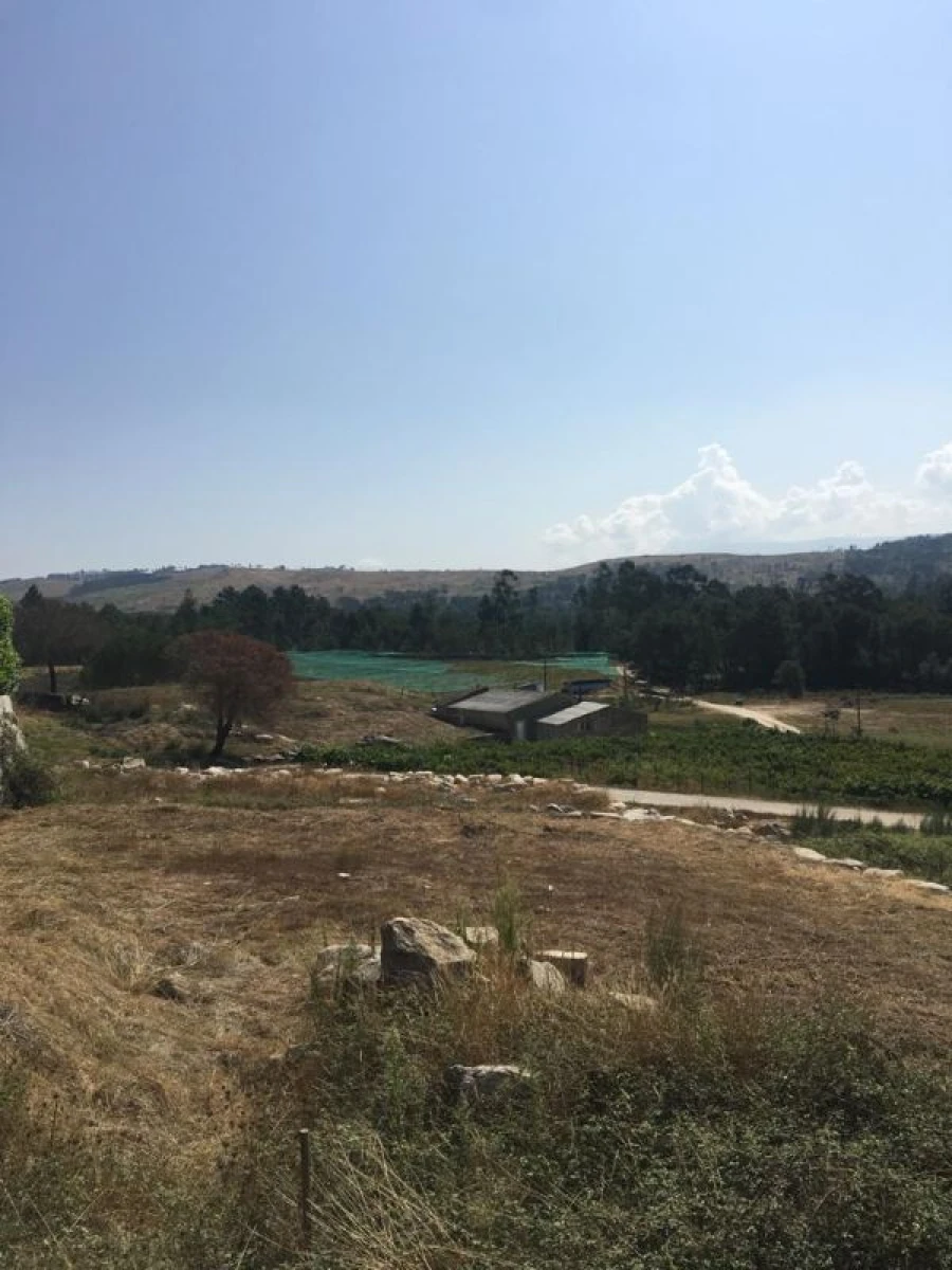 Quinta T0 para Venda em Mangualde, Mesquitela e Cunha Alta Foto 2