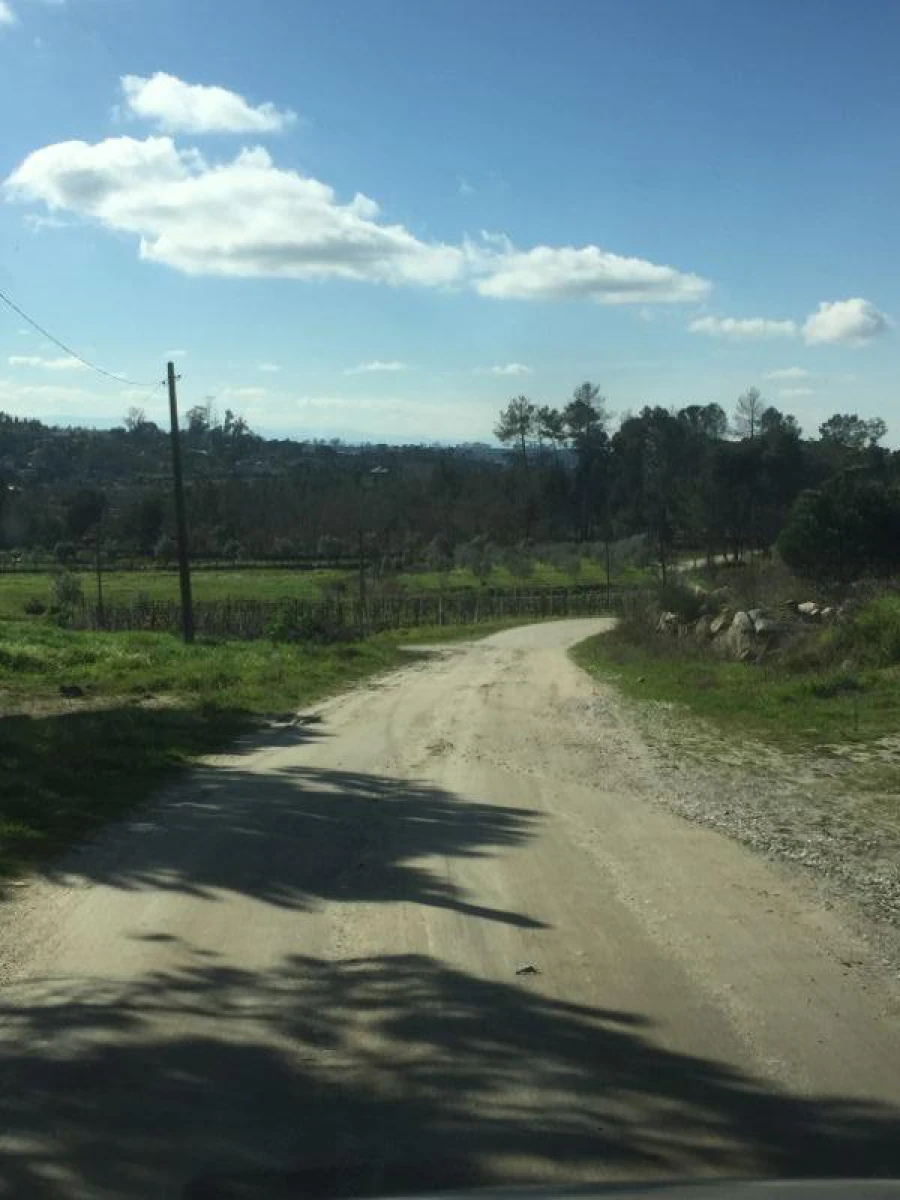 Quinta T0 para Venda em Mangualde, Mesquitela e Cunha Alta Foto 6