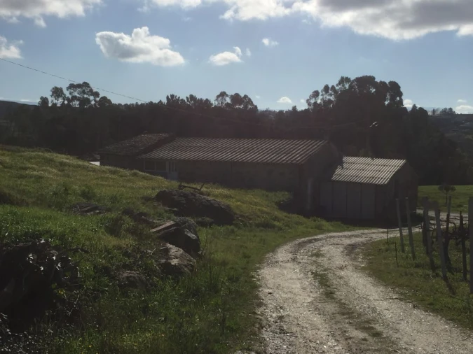 Quinta T0 para Venda em Mangualde, Mesquitela e Cunha Alta Foto 7