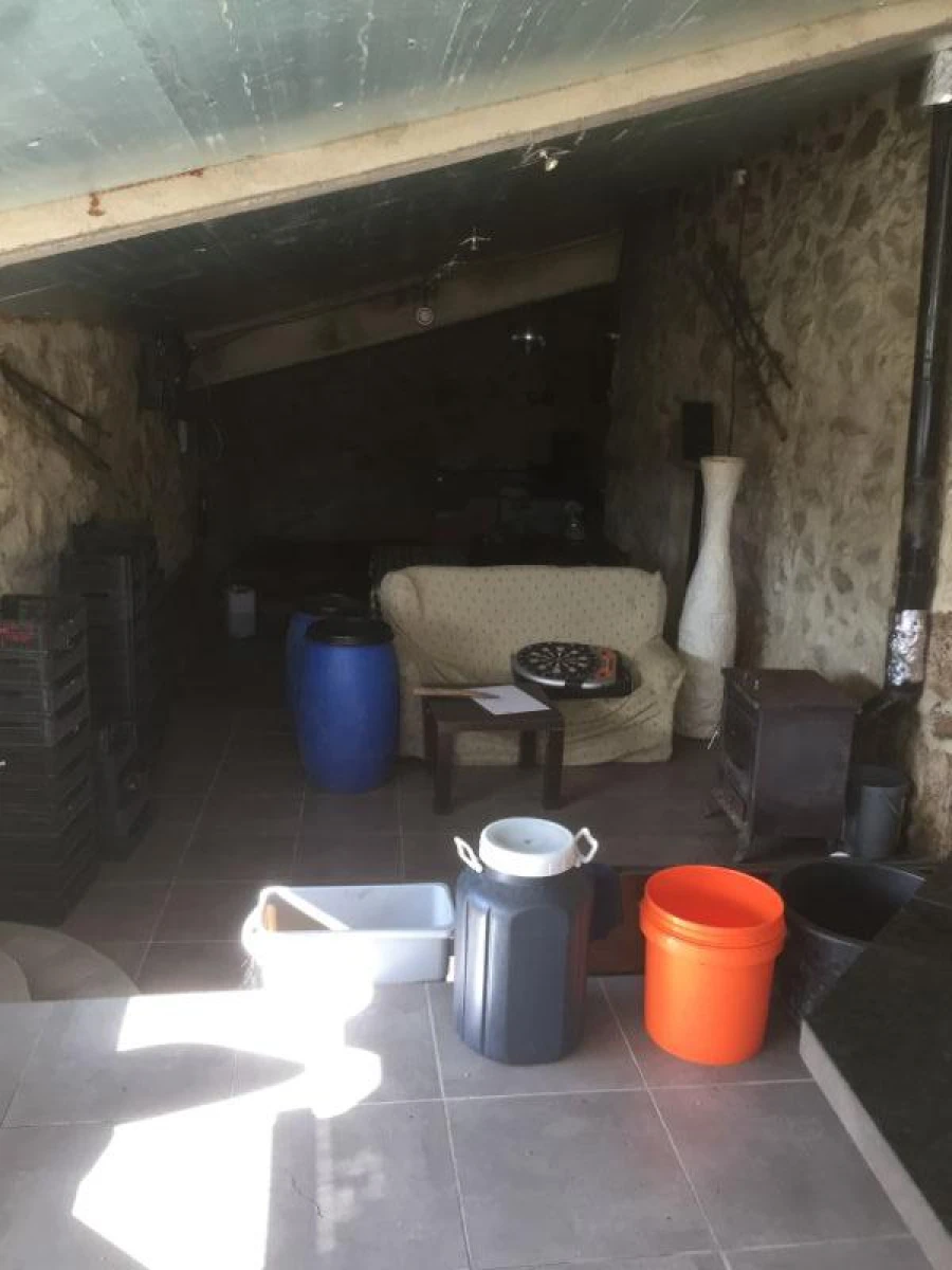 Quinta T0 para Venda em Mangualde, Mesquitela e Cunha Alta Foto 17