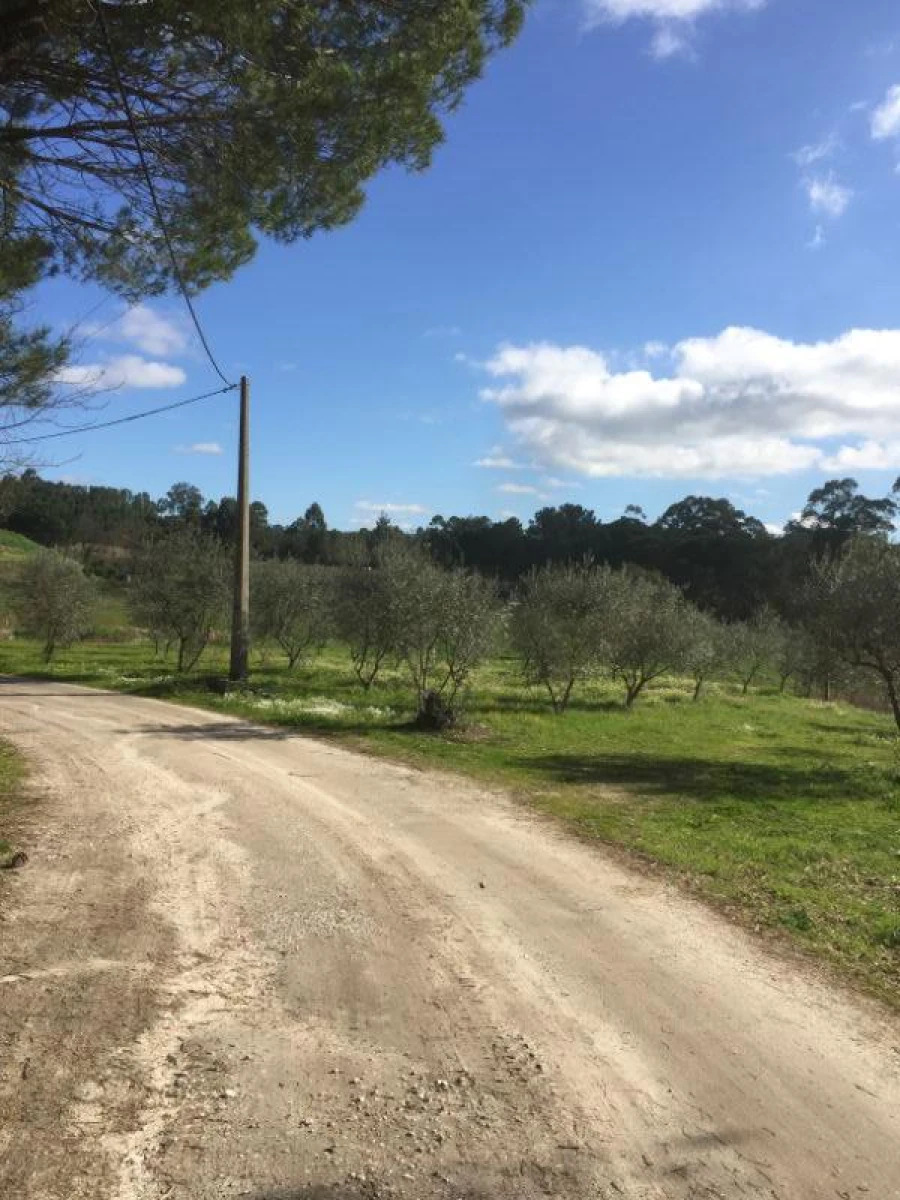 Quinta T0 para Venda em Mangualde, Mesquitela e Cunha Alta Foto 11