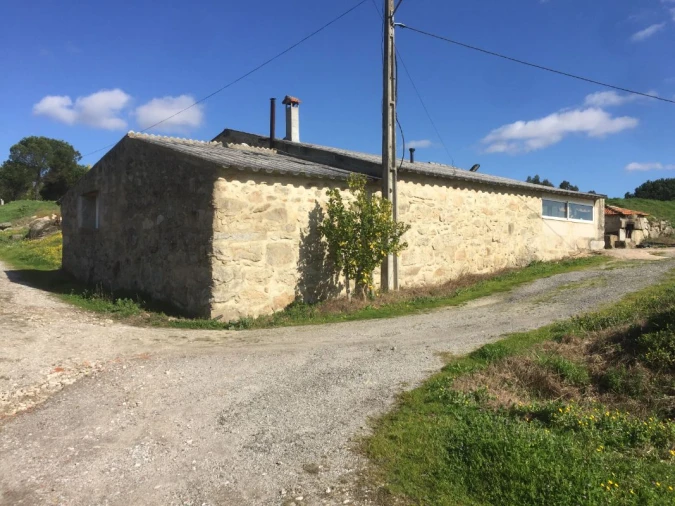 Quinta T0 para Venda em Mangualde, Mesquitela e Cunha Alta Foto 14