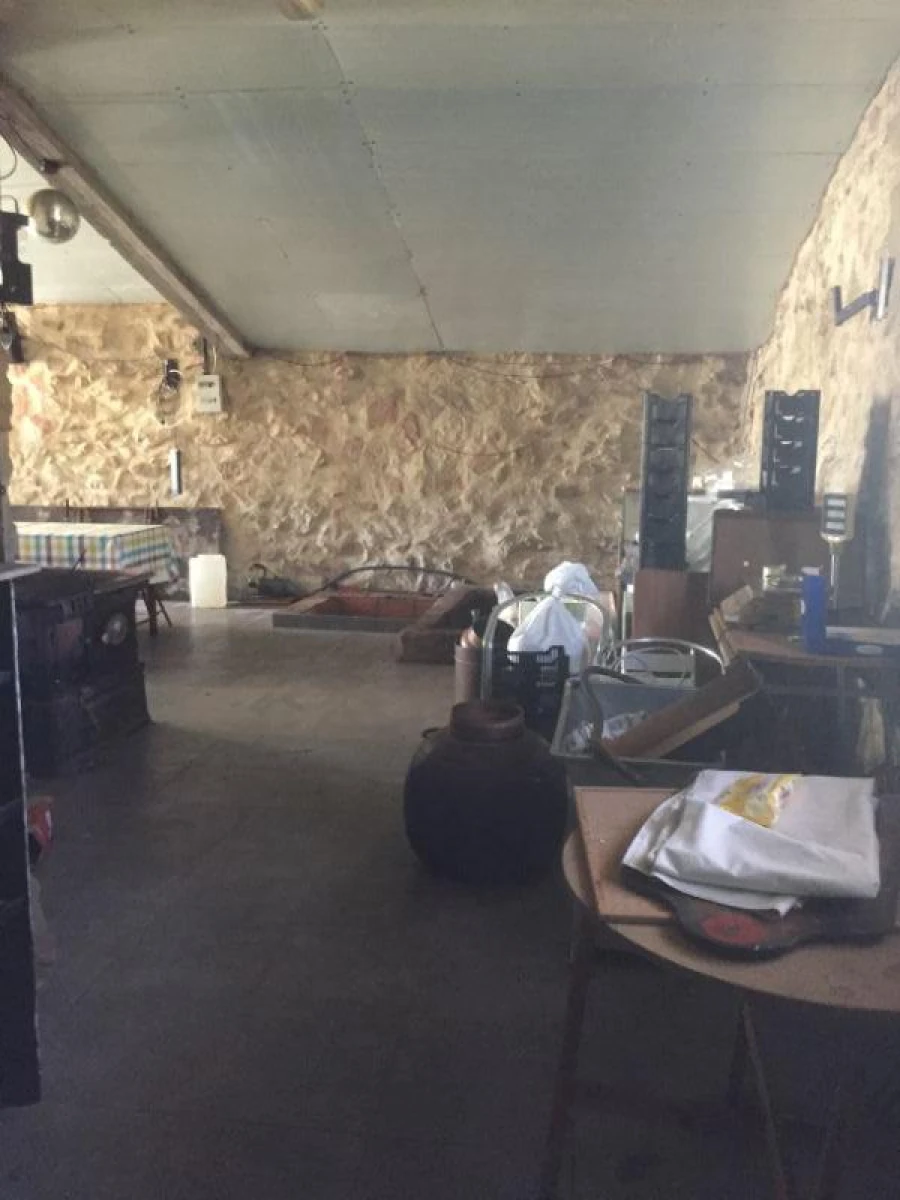 Quinta T0 para Venda em Mangualde, Mesquitela e Cunha Alta Foto 19