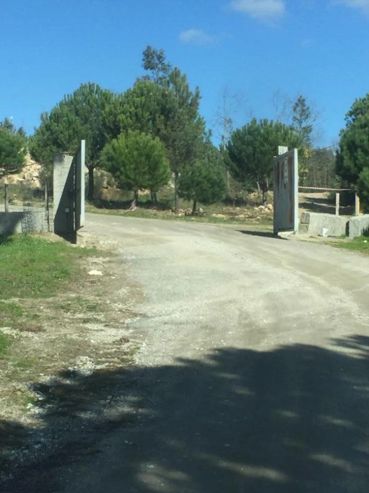 Quinta T0 para Venda em Mangualde, Mesquitela e Cunha Alta Foto 26