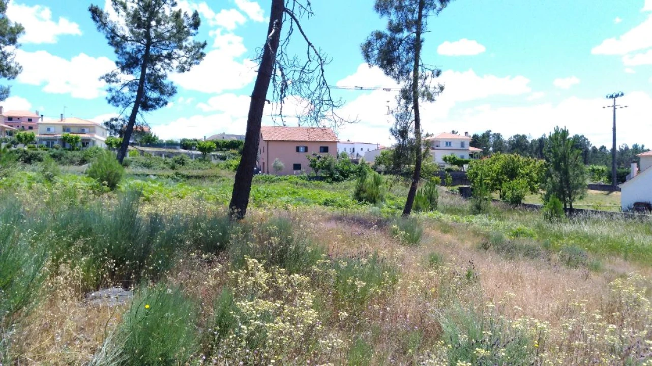 Terreno para Venda em Pinheiro Foto 2