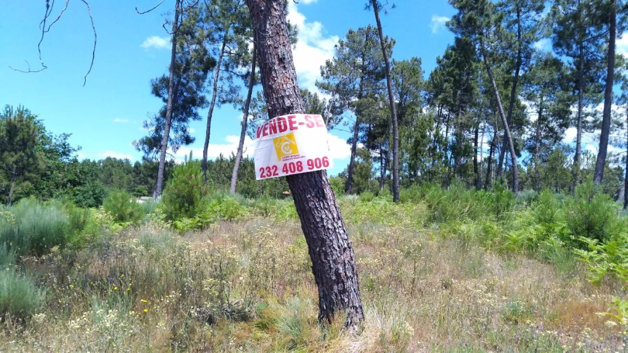 Terreno para Venda em Pinheiro Foto 3
