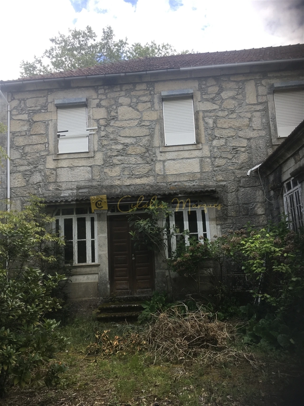 Quinta T0 para Venda em Mamouros, Alva e Ribolhos Foto 6