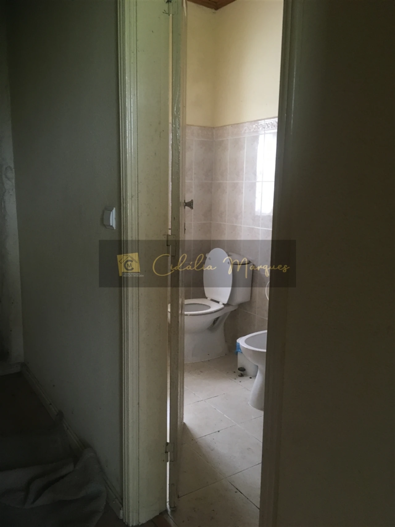 Quinta T0 para Venda em Mamouros, Alva e Ribolhos Foto 11