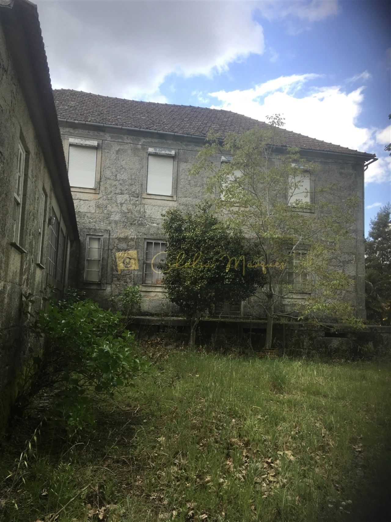 Quinta T0 para Venda em Mamouros, Alva e Ribolhos Foto 3