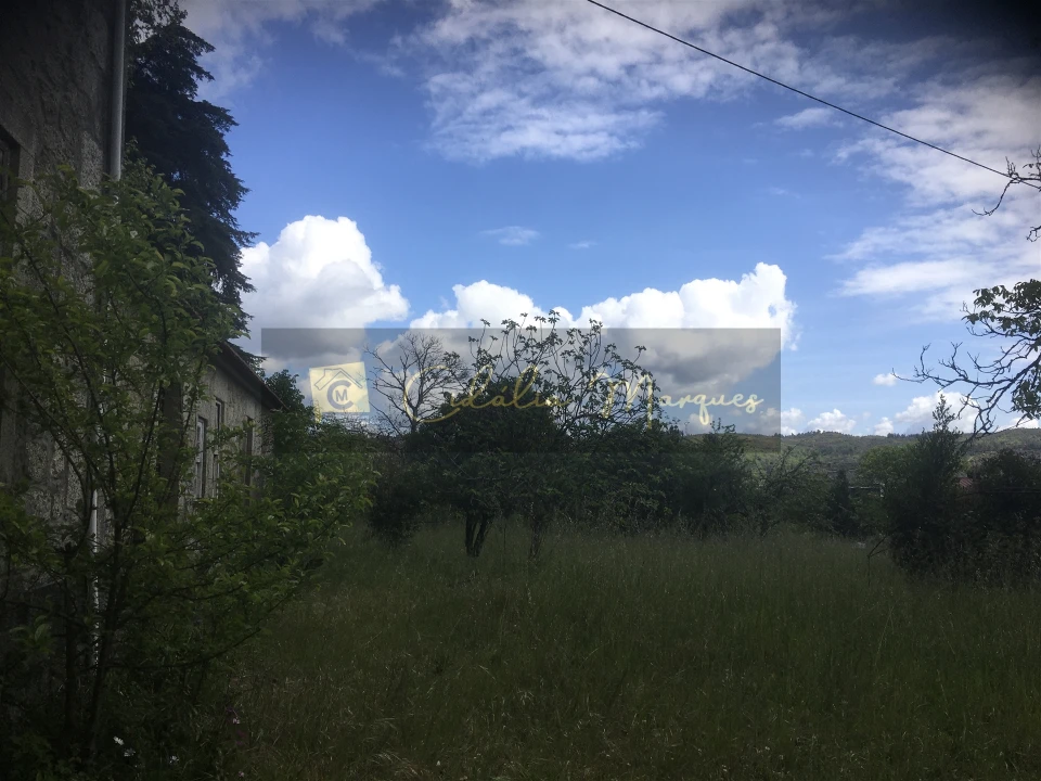 Quinta T0 para Venda em Mamouros, Alva e Ribolhos Foto 9