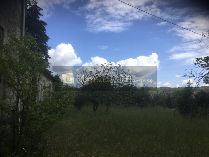 Quinta T0 para Venda em Mamouros, Alva e Ribolhos Foto 9