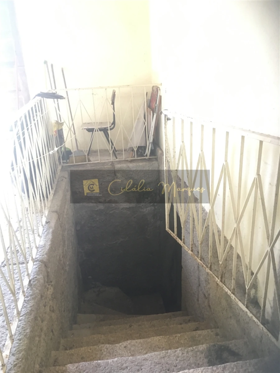 Quinta T0 para Venda em Mamouros, Alva e Ribolhos Foto 13