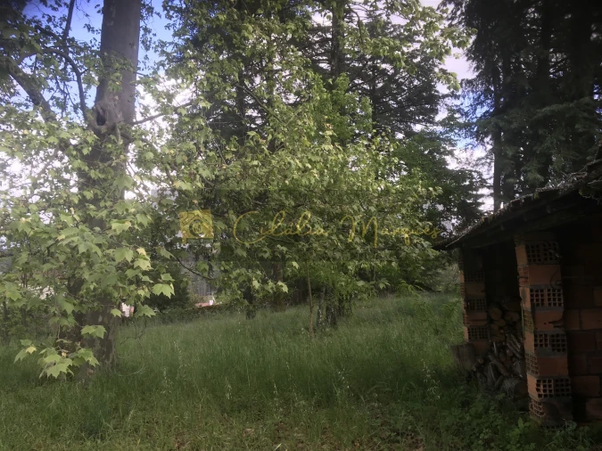 Quinta T0 para Venda em Mamouros, Alva e Ribolhos Foto 8