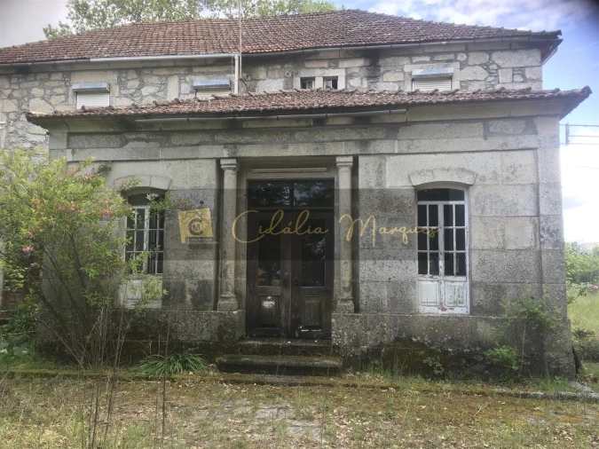 Quinta T0 para Venda em Mamouros, Alva e Ribolhos