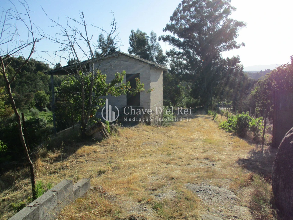 Quinta T0 para Venda em Silgueiros Foto 8