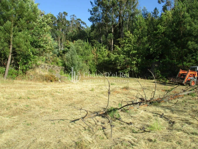 Quinta T0 para Venda em Silgueiros Foto 2