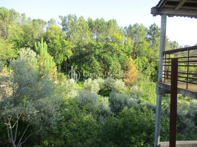 Quinta T0 para Venda em Silgueiros Foto 9