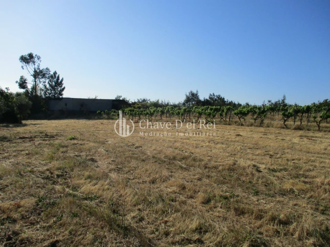 Quinta T0 para Venda em Silgueiros