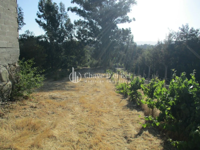 Quinta T0 para Venda em Silgueiros Foto 10