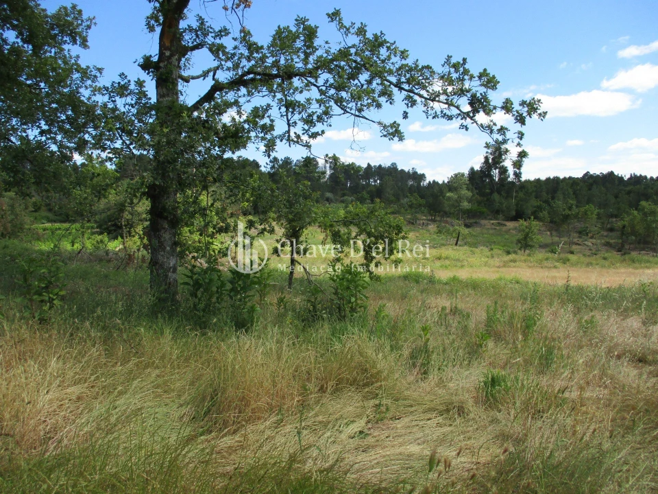 Quinta T0 para Venda em Pindo Foto 7