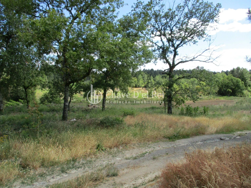 Quinta T0 para Venda em Pindo Foto 4