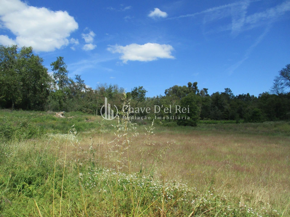 Quinta T0 para Venda em Pindo Foto 11