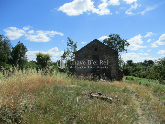 Quinta T0 para Venda em Pindo Foto 3