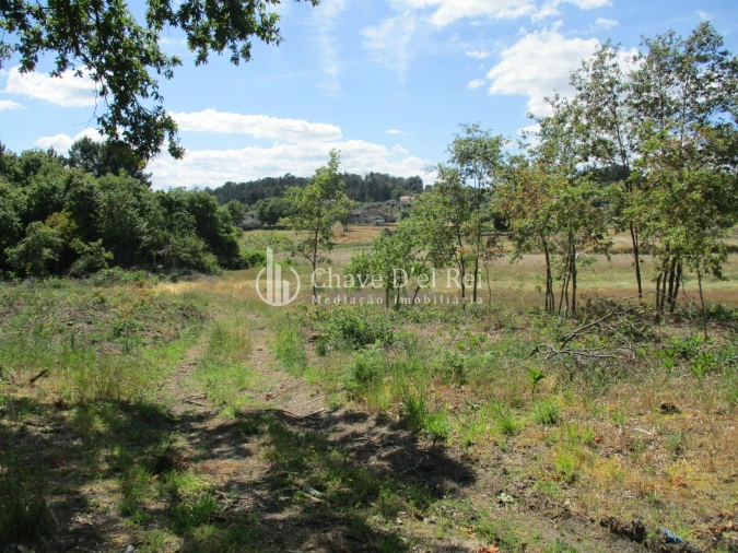 Quinta T0 para Venda em Pindo Foto 17